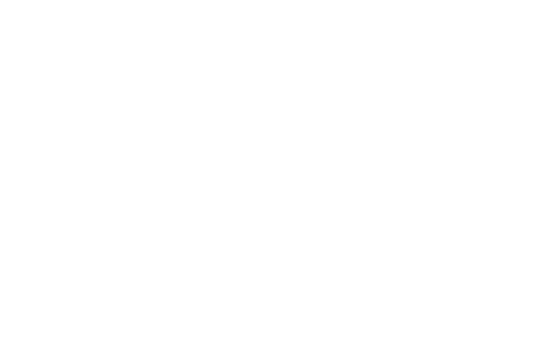 Pelican Alley Tattoo